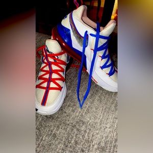 Authentic LeBron XVII Low Space Jam Sneakers